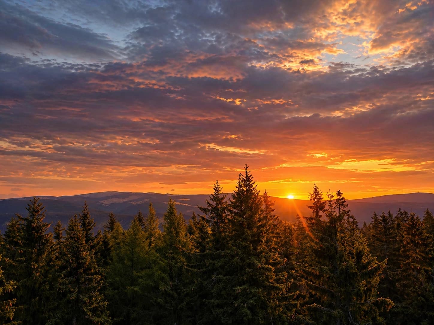 Výhled na Krkonoše